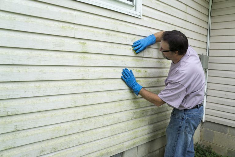 How To Clean Mold Off Vinyl Siding Safely - Effective Methods And Prevention